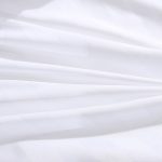 bs (2)